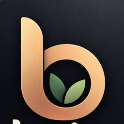 Brio Studio
